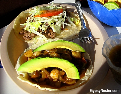 Scallop tacos at Mary's Sea Food Restaurant in Rocky Point, Mexico