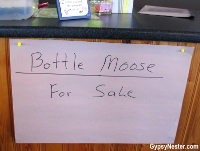 Bottle Moose for sale at the Gannet's Nest in St. Brides, Newfoundland