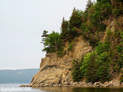 A beautiful cliff face in Bay of Islands, Newfoundland