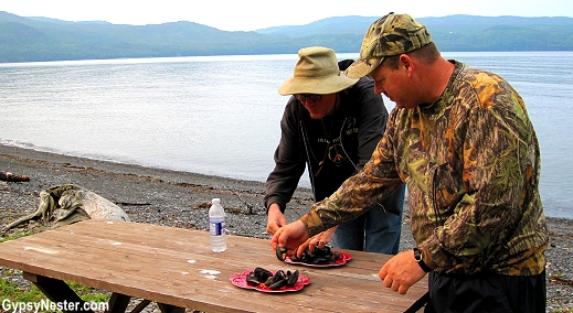 Fresh mussels at the fishing cabin in Newfoundland