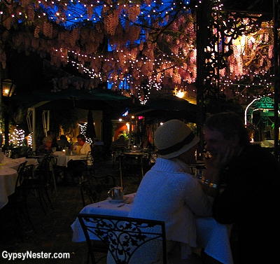 Wisteria in full bloom at The Court of Two Sisters restaurant in New Orleans, Louisiana