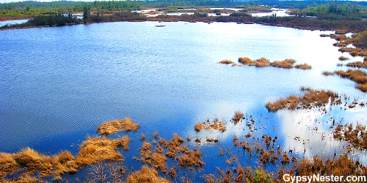 The GypsyNesters How To Volunteer At A National Park And Live For Free   Okefenokee Swamp 1 