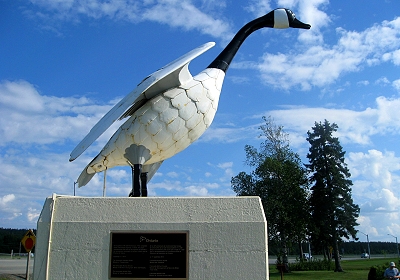 The Wawa Goose