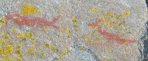 Pictograph by Ojibway in Ontario's Provincial Park