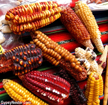 Peru produces a wide variaty of corn