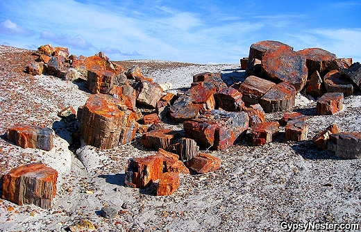 Petrified Forest National Park in Arizona