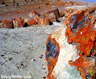 Petrified Forest National Park in Arizona