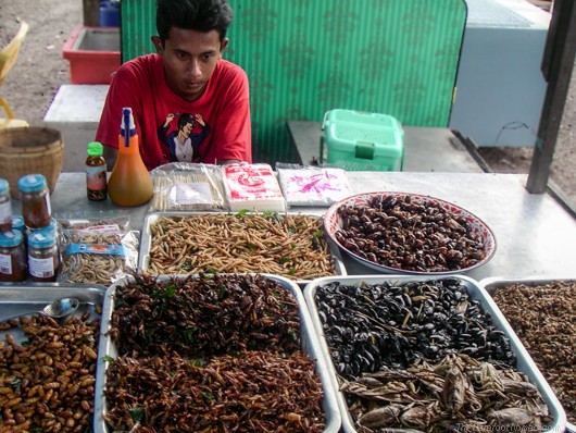 Insect Buffet by The Barefoot Nomad