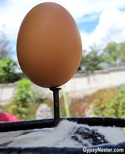 Egg balanced on a head of a nail at the equator