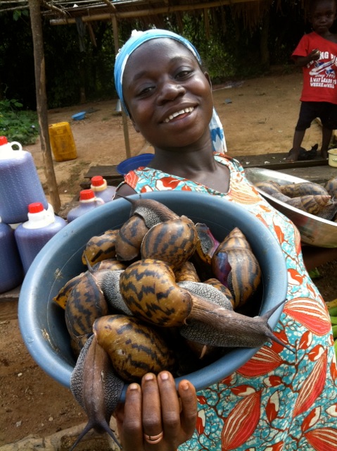 Huge African Snails by Zara of Backpack ME