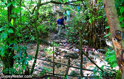 Hiking thru the rainforest in the Dominican Republic