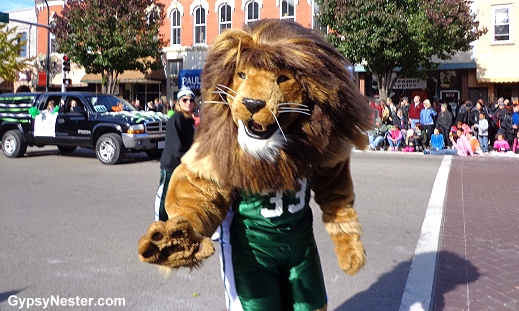 A lion marches in the Pumpkin Fest Parade in Sycamore, Illinois