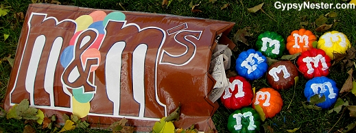 M&M Pumpkins at the Sycamore Pumpkin Fest in Illinois