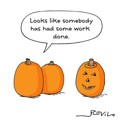 Even pumpkins can be catty!