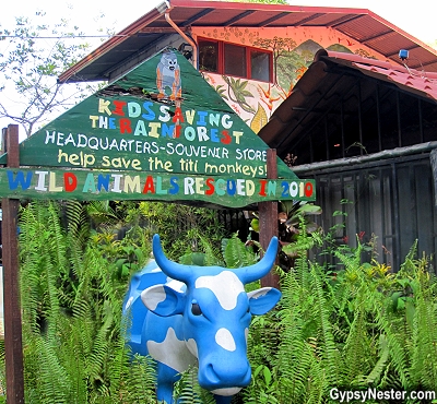 Kids Saving the Rainforest in Quepos, Costa Rica