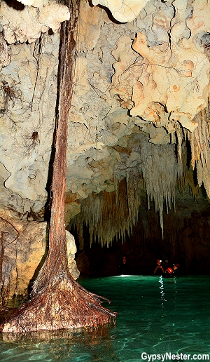 Roots from the trees in the jungle above work their way down to the water of Rio Secreto in Mexico