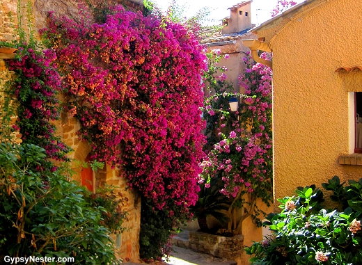 Bormes-les-Mimosas, Provence, France