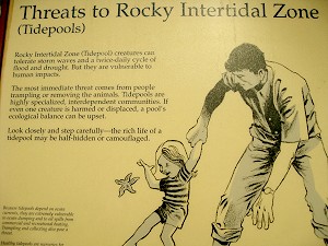 Click for more Zany Park Signs!