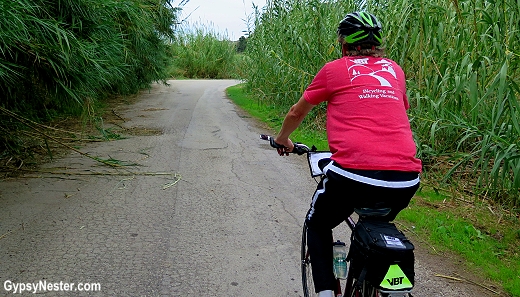Bicycling through a dense bamboo forest in Sicily, Italy