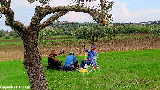 Olive farmers taking a break from harvest in Sicily, Italy