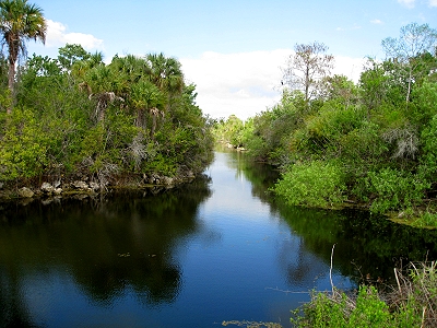 Florida Everglades, Skunk Ape Territory