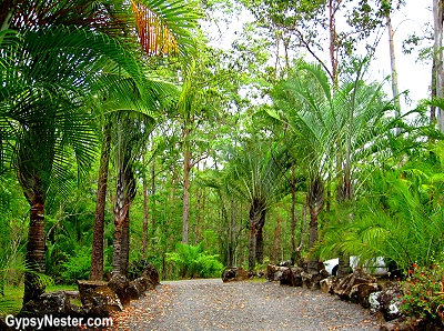 The road to Glasshouse Gourmet Snails in the Hinterlands of Queensland, Australia