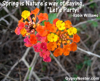 Spring is Nature's way of saying, "Let's Party!" -Robin Williams 