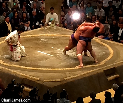 Sumo wrestling in Tokyo Japan
