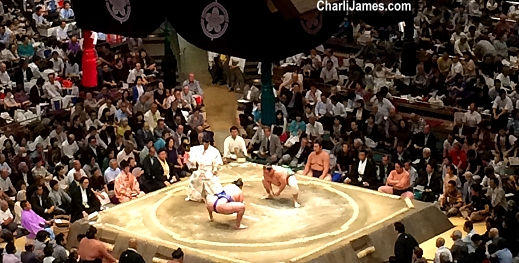 Sumo wrestling in Tokyo Japan