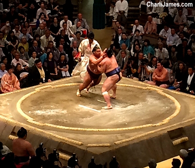 Sumo wrestling in Tokyo Japan