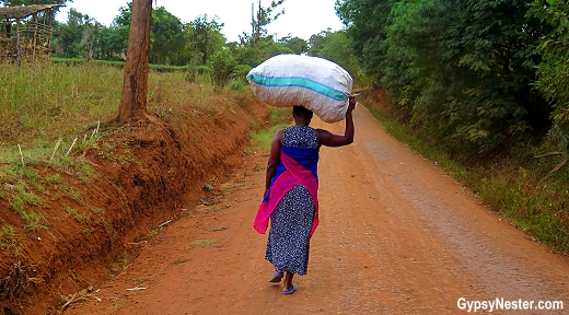 A woman carries a heavy sack on her head in the village of Rau, near Moshi, in Tanzania. With Discover Corps.