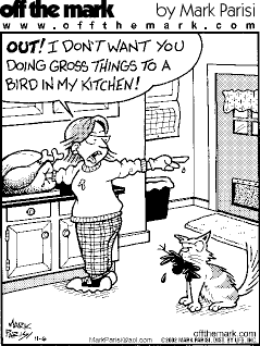 Saturday Funnies! Ain't THIS the truth! Happy Thanksgiving! 