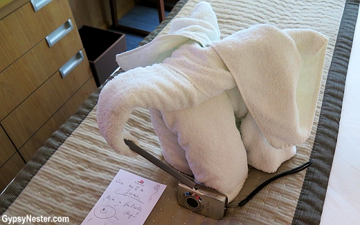 An elephant towel animal on Viking River Cruises!