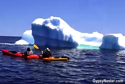 Kayaking with icebergs in Twillingate, Newfoundland