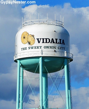 Vidalia Georgia Onion Water Town