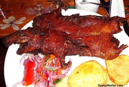 Cuy is Guinea Pig - yes just like the pets - and is traditionally eaten in the highlands of Peru on special occasions.