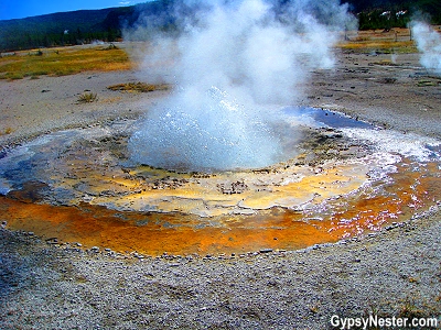 A geyser in Yellowstone National Park