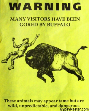Retro buffalo warning flyer at Yellowstone National Park