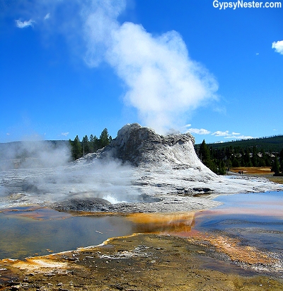Two-thirds of all the geysers in the world are within the borders of Yellowstone National Park