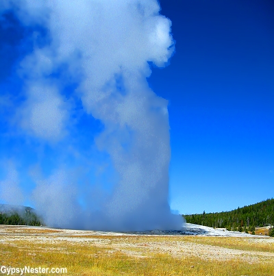 Old Faithful in Yellowstone National Park
