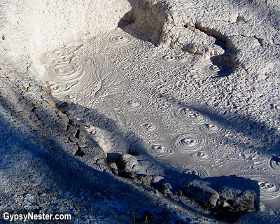 Bubbling mud in Yellowstone National Park