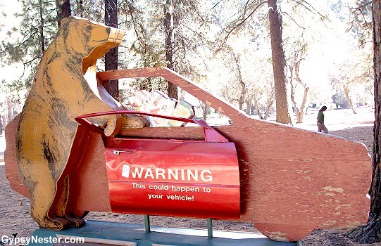 "This could happen to your vehicle!" ... and wouldn't your Toyota feel violated after being mounted by a bear?