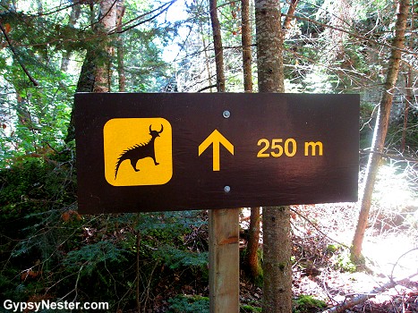 Sooooo... we're walking in the woods, deep in Canada and come up on this sign. What exactly is out there?