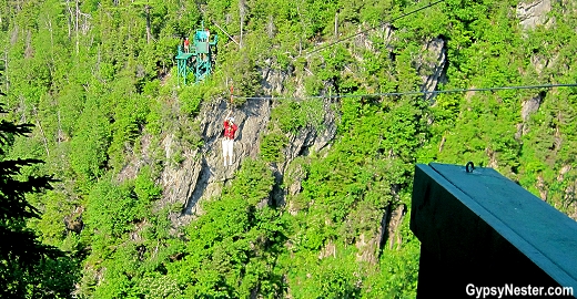 Ziplining three hundred feet in the air with Marble Zip Tours in Newfoundland