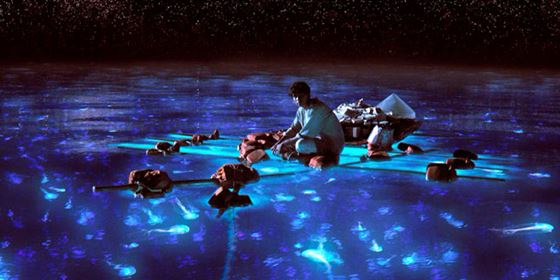 Bioluminescent Bays in Puerto Rico: Best Time to Go