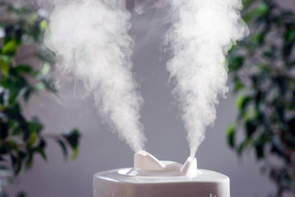 The GypsyNesters | How to Humidify Your House